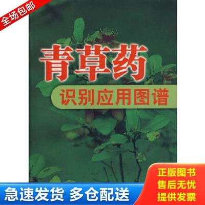 正版库存书9787533526979 青草药识别应用图谱 冼建春//林日初 福建科技出版社