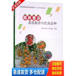 正版库存书 樱桃番茄高效栽培与优良品种 9787511639486 刘子记