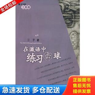 正版库存书9787530645116 在谶语中练习击球 江子　著 百花文艺出版社