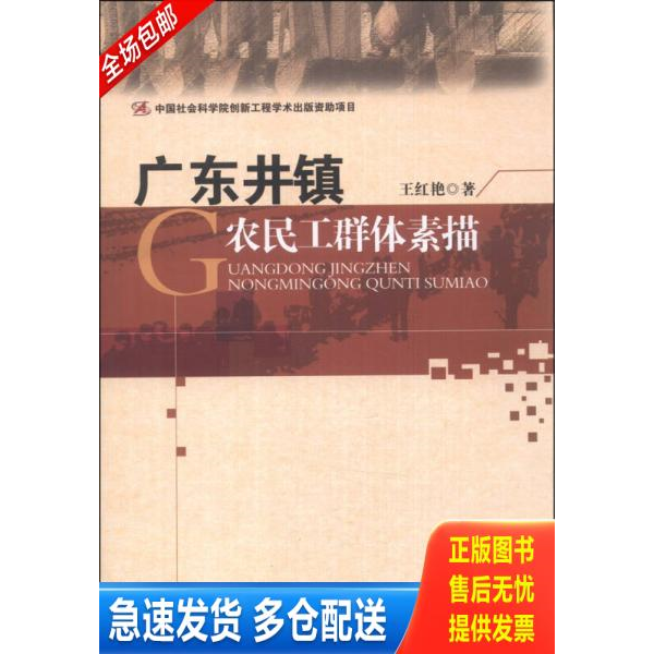 正版库存书广东井镇农民工群体素描 9787516129234 王红艳 中国社会科学出版社