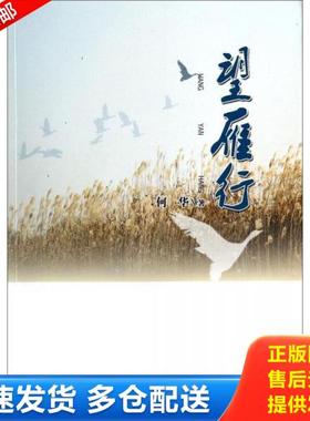 正版库存书9787226045718 望雁行 何华 甘肃人民出版社