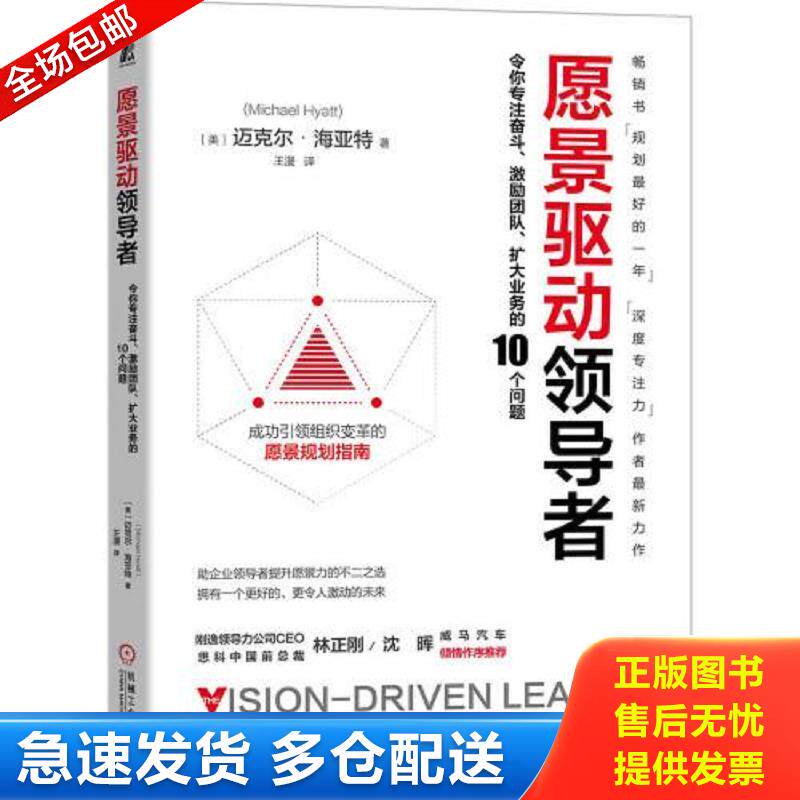 正版库存书愿景驱动领导者：令你专注奋斗 激励团队 扩大业务的10个问题 ［美］迈克尔·海亚特(MichaelHyatt) 机械工业出版社