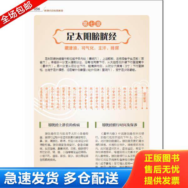 正版库存书9787533766009 视频互动穴位书：经络穴位标准图册 李志刚著 安徽科学技术出版社