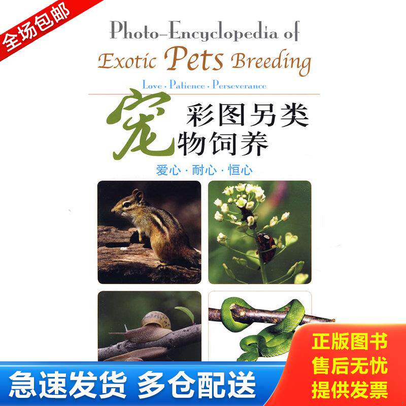 正版库存书彩图另类宠物饲养 9787807402718 陈志兵//夏欣 上海文化出版社