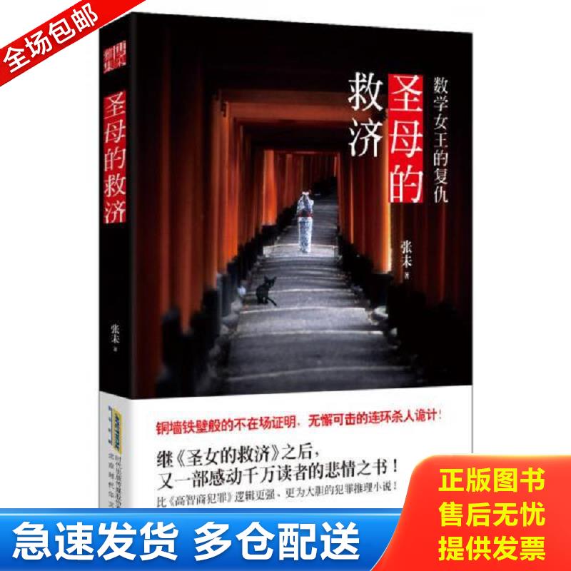 正版库存书圣母的救济：数学女王的复仇 张未著 北京时代华文书局有限公司