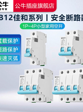 公牛空气开关LB12断路器空气开关1P2P断路器家用空开电闸开关63a