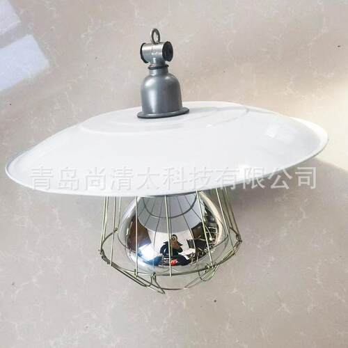 场养鸡取MFU暖属金灯罩养猪场网罩灯套装养殖白光保爆温防节能加