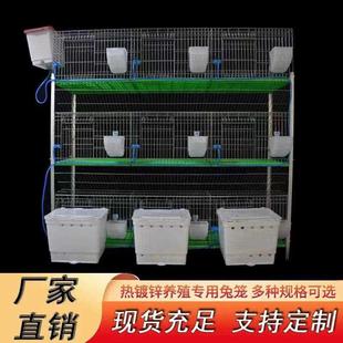 专业兔子笼子 兔笼子养殖专用家用母兔繁殖窝自动清粪特大号新式