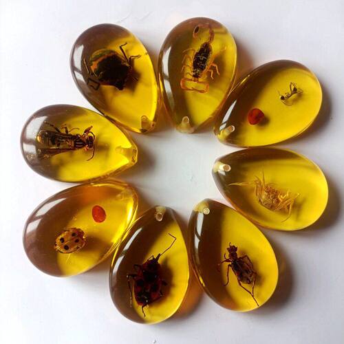 天然昆虫科普教学标本树脂琥珀抖音拼多多快手淘琥珀蜜蜡