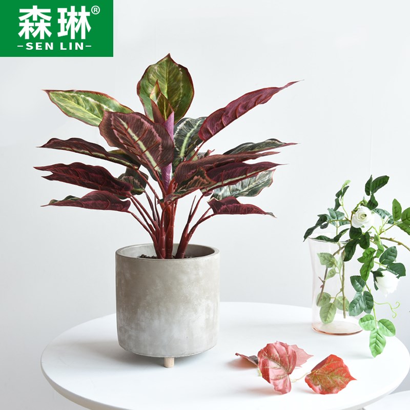 速发小小绿叶子树叶背景墙配草植把植物墙孔雀芋装饰配饰造景假花