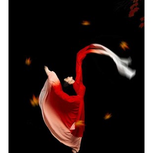 速发2024年春晚唐诗逸舞色服古典舞演庭芳国蹈满出服独舞水袖 风