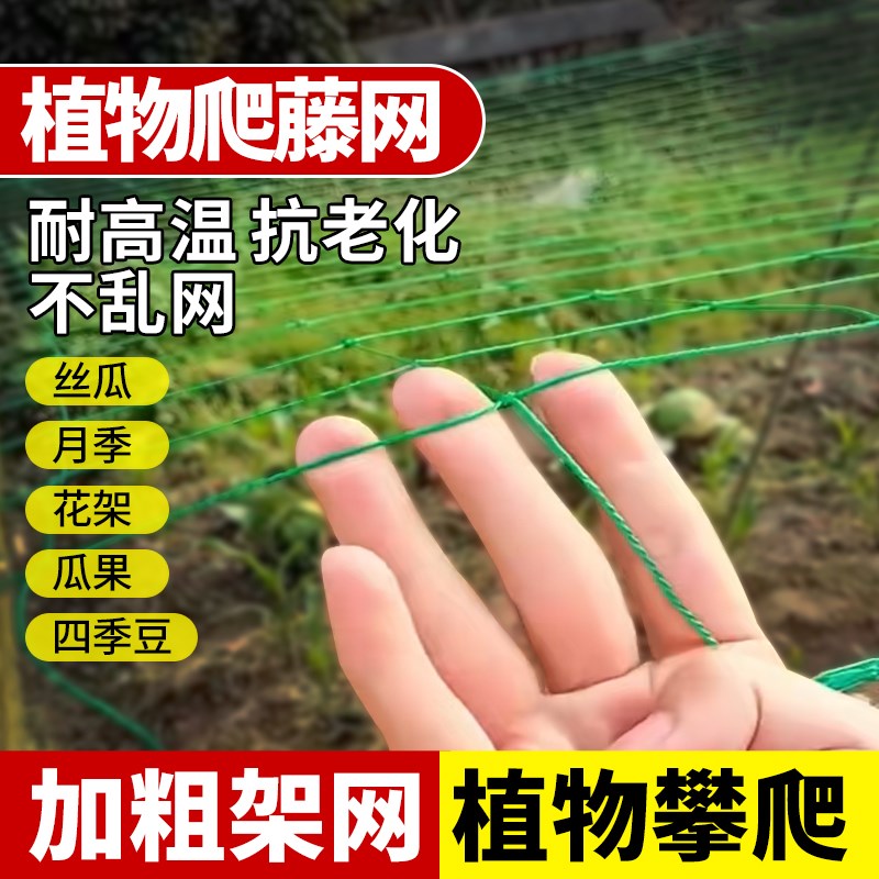 速发【植物爬藤网藤瓜果牵牛花花卉爬藤植物用绳】爬豆角百香果爬