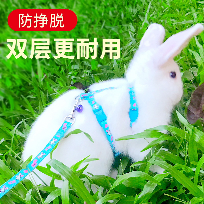 速发遛兔子子出防挣脱神器猪用品溜子兔绳兔链外防咬可调节