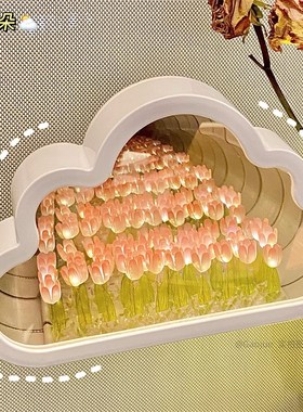 速发云朵郁金香花生镜件小夜灯手工生日礼物送海毕业摆子氛围灯