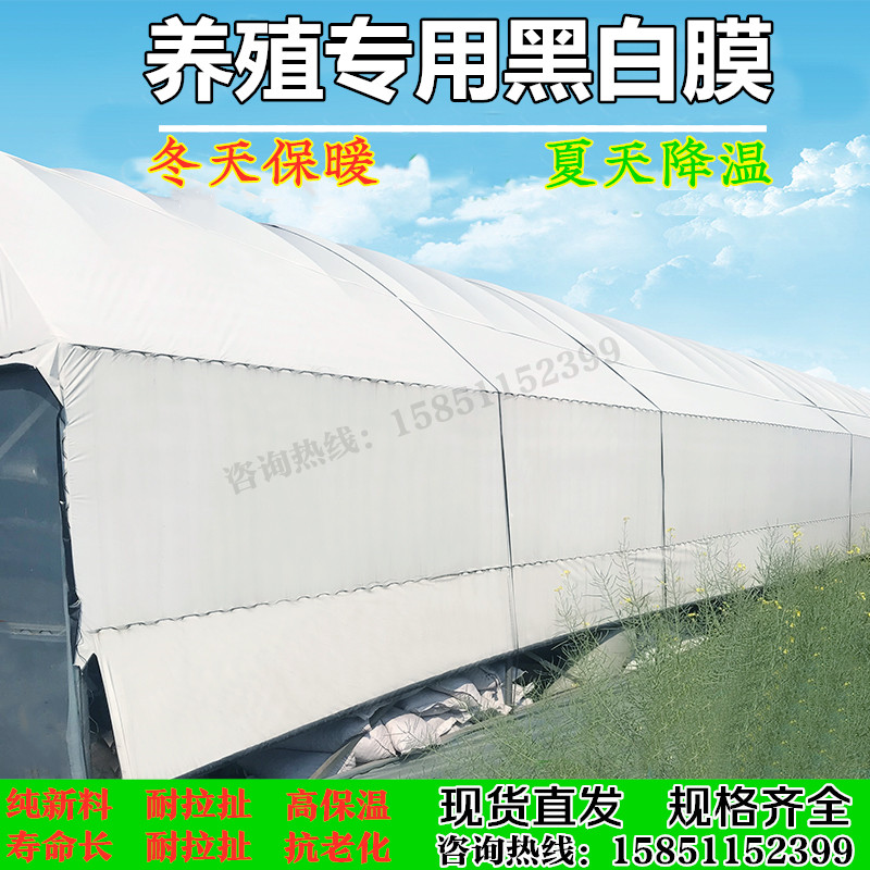 速发黑白厚养殖防晒加膜大棚降温反光食用菌隔热绿白膜鱼塘防渗膜