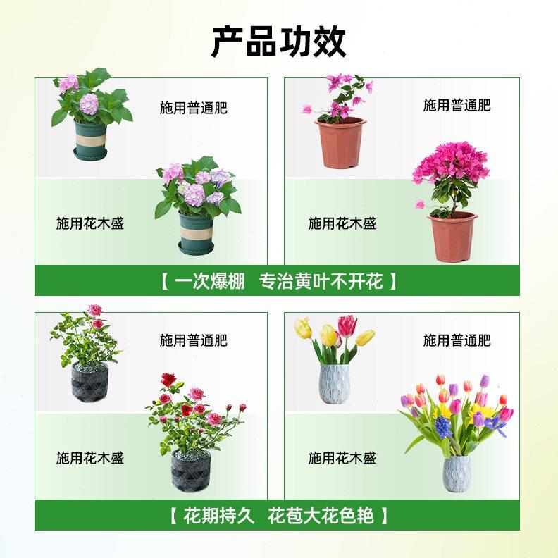 花木盛植物离子营养基700克通用有机花肥家用园艺盆栽植物肥料