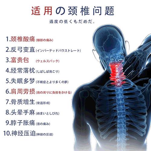 速发荞麦皮枕头枕芯护男一对学生宿舍防整头家用打呼噜