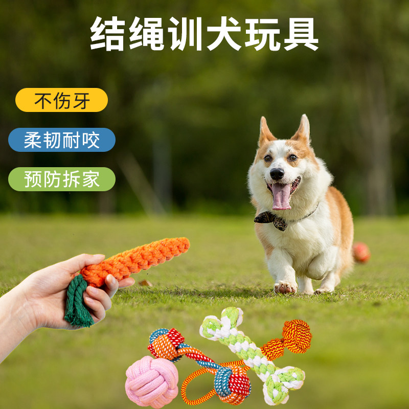 速发幼犬玩具闷咬磨牙棒基熊柯比泰迪小型犬用品小狗解耐神器