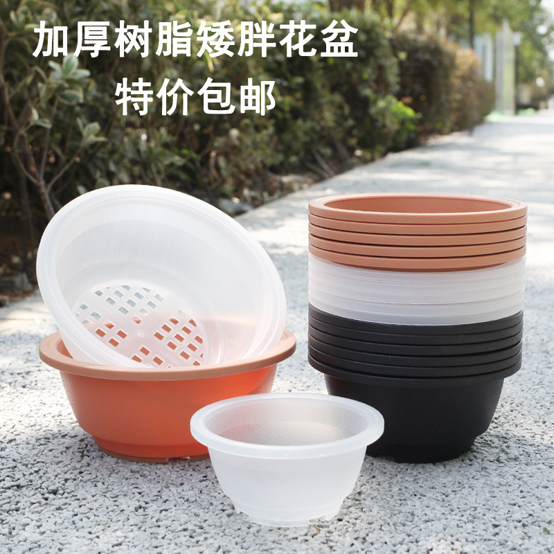 速发花艺多肉园盆塑料圆形绿植盆台矮胖群生大口径仙人球花卉盆简