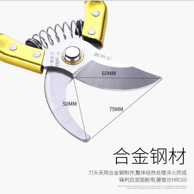 现货杀甲鱼剪骨头专用剪刀t剪鸡骨鸭骨强力剪多用修剪树枝花枝省