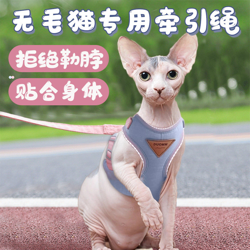 速发无毛咪防挣脱幼芬克斯溜猫绳子外出项圈小猫斯猫