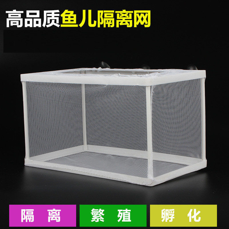 速发观孵鱼隔离网鱼缸暂养盒产卵网化箱赏格器小鱼苗分离水中网箱
