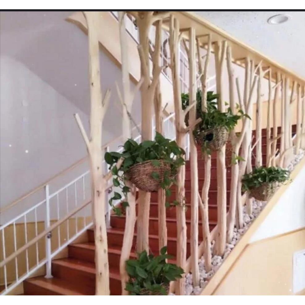 干树枝装饰天然枯木隔断干客厅玄关隔断干枝吊灯壁挂干树杈白树枝