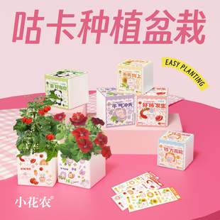 兒童咕卡種植盆栽小學(xué)生創(chuàng)意手工DIY種植水果蔬菜花卉益智玩具