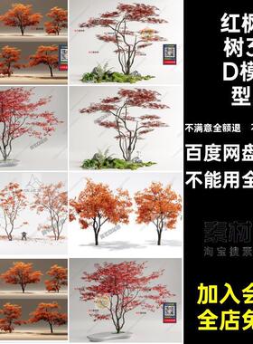 红枫树造形枫叶3D红枫树3D模型造景色景观鸡爪槭景观造色鸡爪槭