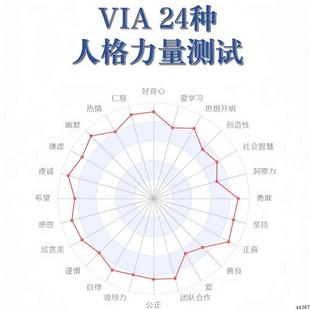 24种人格力量测试VIA24性格优势测试via心理测试心理测评工具