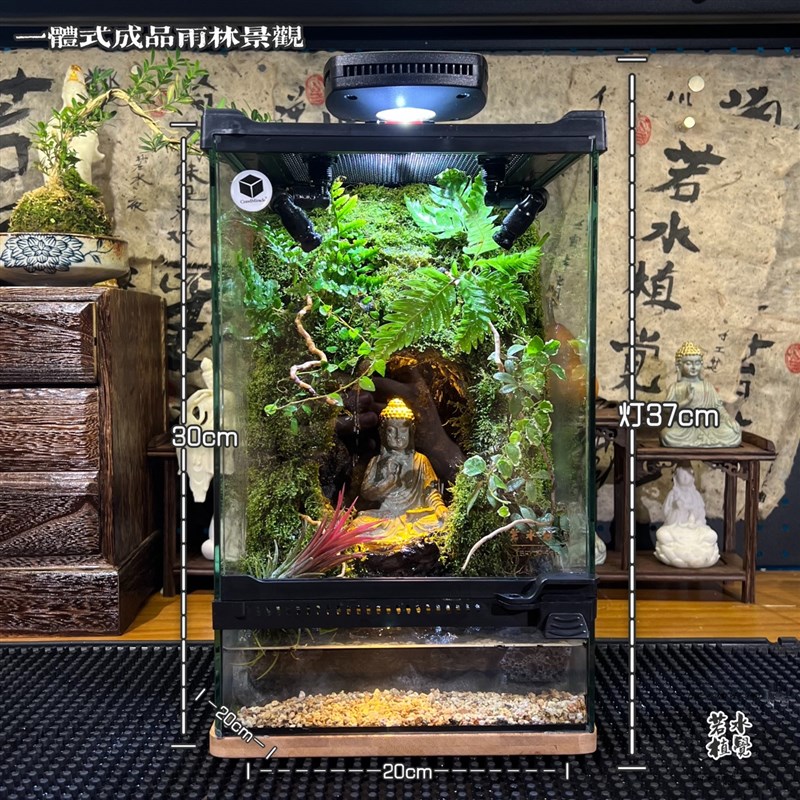 极速成品苔藓雨林缸 热s带植物天然加湿器 全自动喷淋雾化景观生