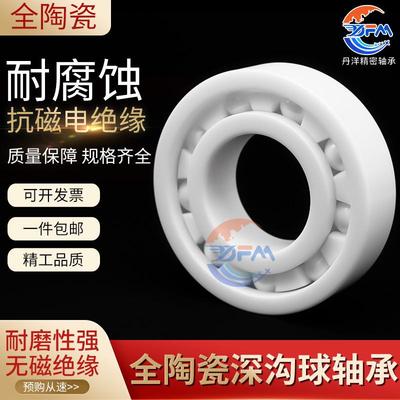 丹洋全陶瓷轴承 6016 6017 6018 6019 6020CE ZZ