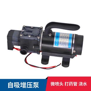 自动启停直流12V微小型电动隔膜泵洗车打药喷雾器喷头 自吸增压泵