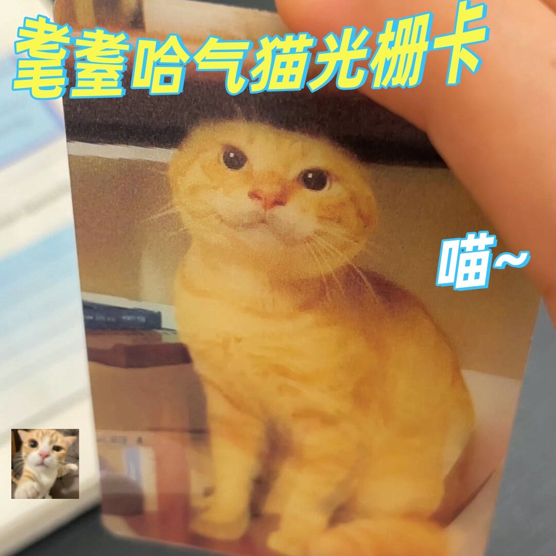 耄耋哈气猫光栅卡猫猫变换明信卡片3D幻影哈吉马圆头西部菱斑小卡