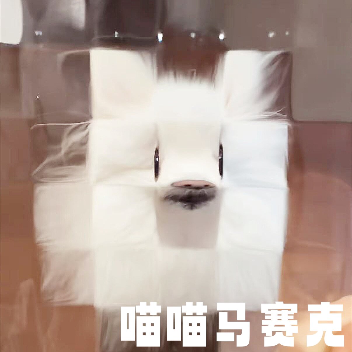玻璃马赛克像素猫宠物逗猫玩具搞怪滤镜双方格立体拍照打卡小道具