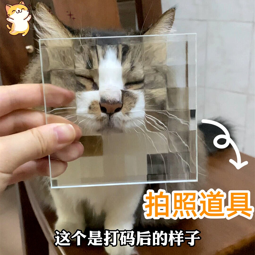 立体压花马赛克双方格玻璃宠物搞怪表情抽象搞怪拍照道具打码神器