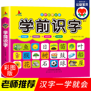 学前识字 幼小衔接学前识字教材800 启蒙认知识字书早教识字书学龄前识字书儿童书幼儿园大班升一年级学前800识字书大本大图大字