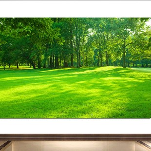 速发绿植草地森眼风光自林风景画绿色护然书房卧室房间墙面海报壁