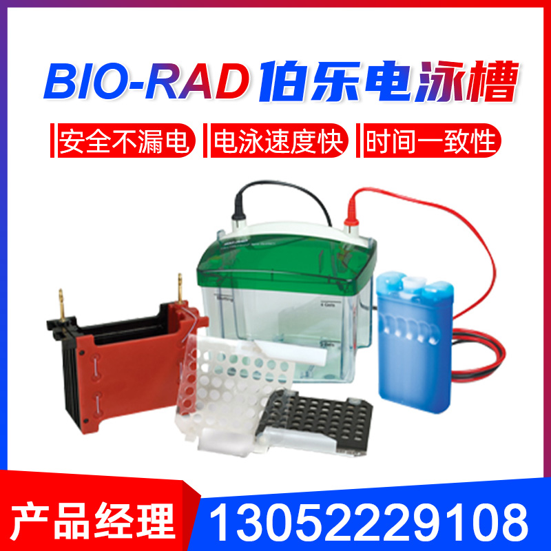 伯乐电泳仪小型垂直水平电泳槽转印槽蛋白槽伯乐Biorad电泳仪