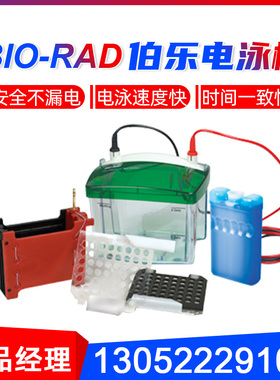 伯乐电泳仪小型垂直水平电泳槽转印槽蛋白槽伯乐Biorad电泳仪