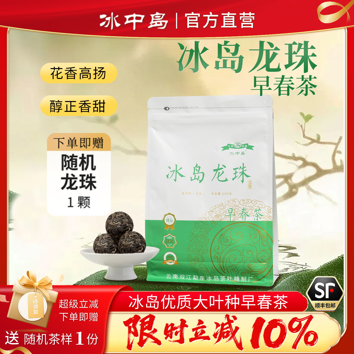 冰岛龙珠早春茶云南普洱茶生茶