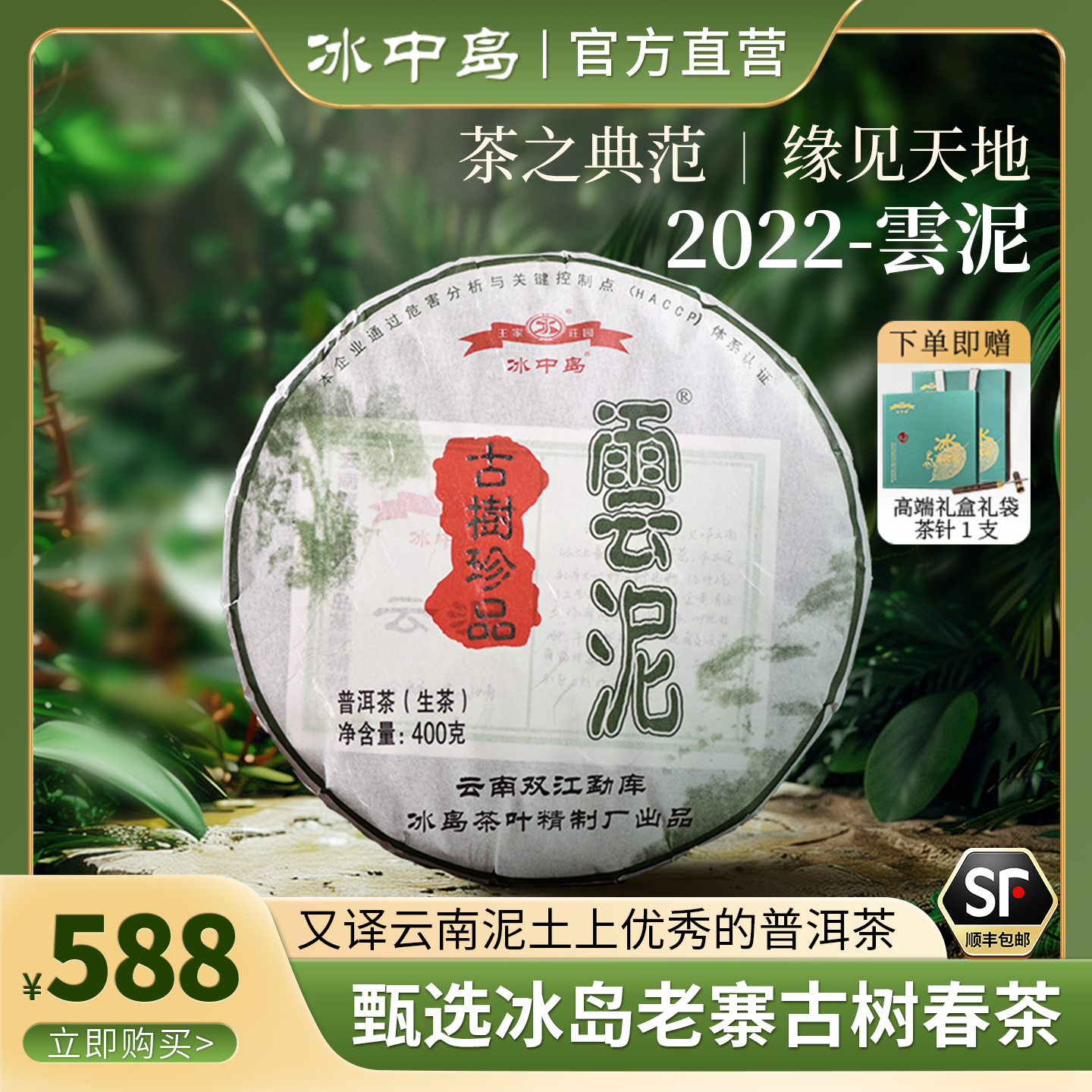 冰中岛冰岛云泥云南普洱古树生茶