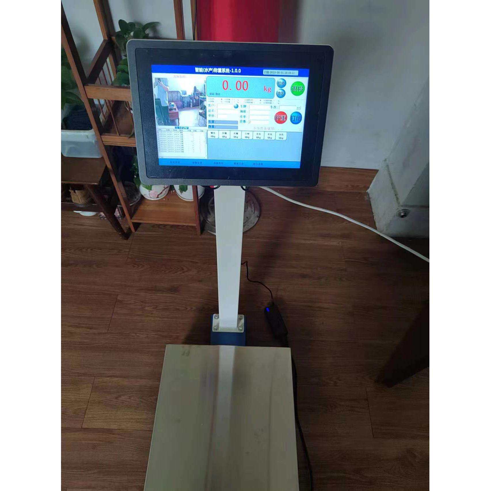 带拍照功能智能电子秤 食堂收货智能电子秤 100kg 200kg