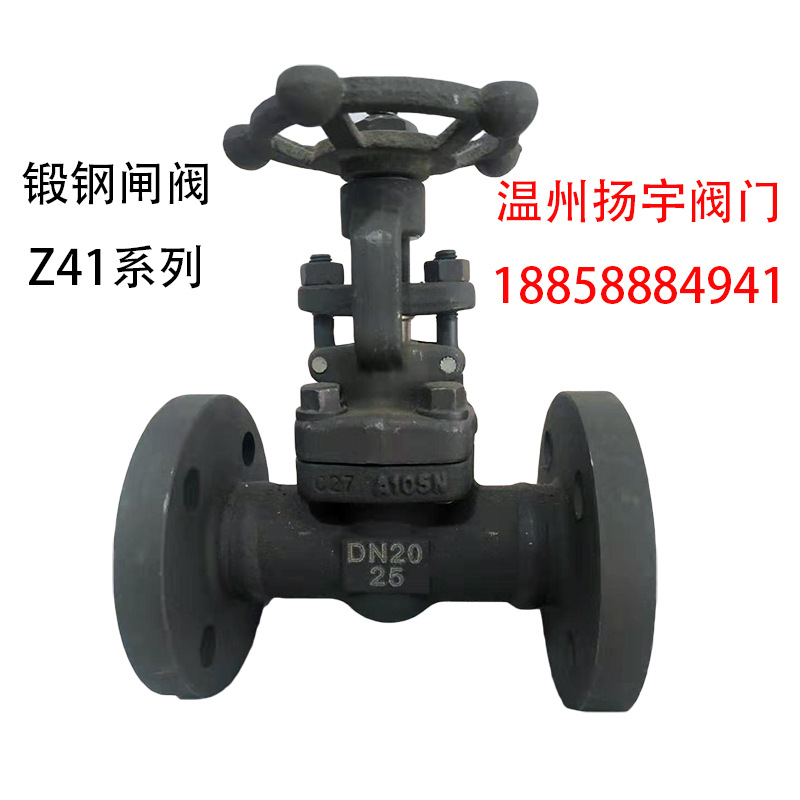 温州扬宇厂家供应 锻钢高压高温闸阀 Z41H-16 25 40C法兰闸阀A105