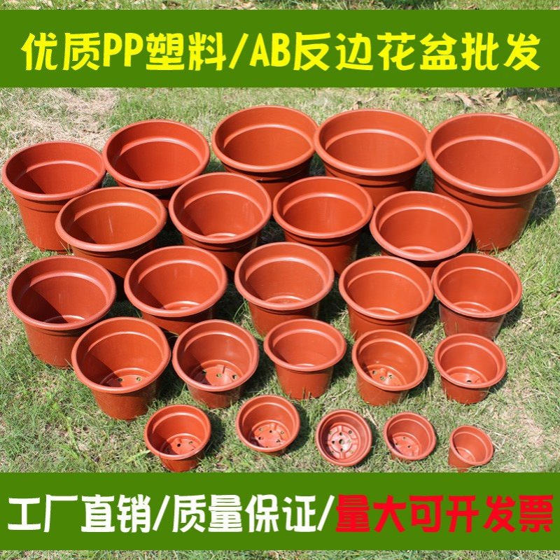 AB圆反边塑料花盆加厚基地种植盆育苗网底小花盆绿萝小号大号无托