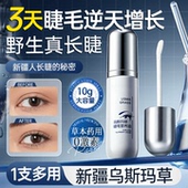 眼眉睫毛增长液新疆乌斯玛草生长滋养浓密纤长官方旗舰店正品 男女