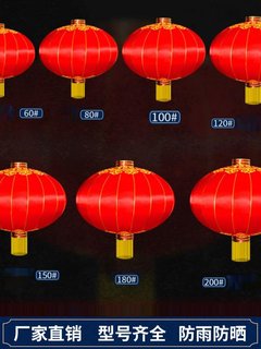 新品新年装饰大红灯笼入户别墅大门口龙年铁口红色中式吊灯中国风