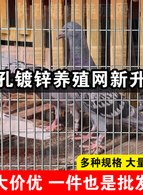 镀锌钢丝网片围栏狗笼加粗铁丝网鸽舍加密小孔建筑铁网格养殖栏栅