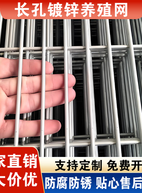 镀锌钢丝网片狗笼加粗铁丝网围栏鸽舍加密小孔建筑铁网格养殖栅栏