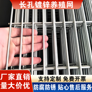 镀锌钢丝网片狗笼加粗铁丝网围栏鸽舍加密小孔建筑铁网格养殖栅栏